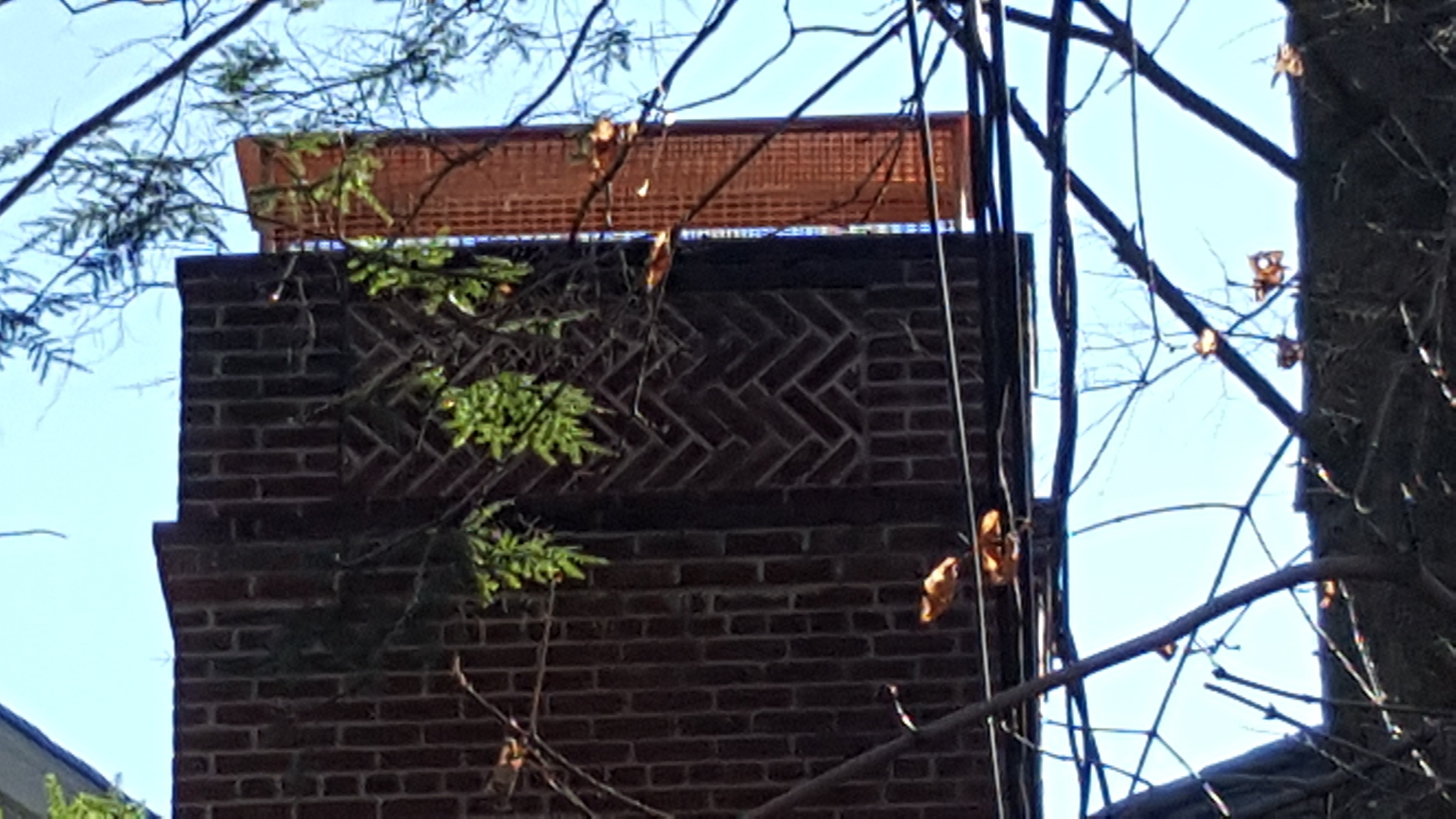 Animal-proof chimney cap protecting home in New Hyde Park, New York